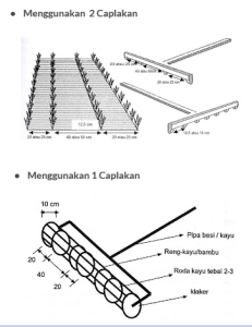 Menanam