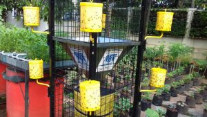 IMG-20160415-WA0018