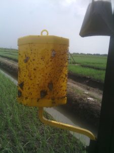 IMG-20160415-WA0023